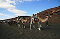 Kanary_2010 040